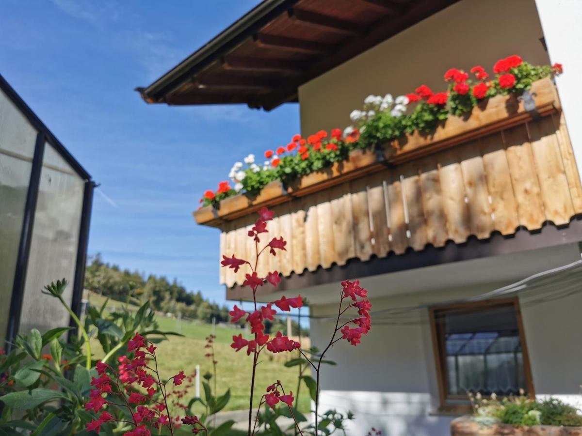Bio-Bauernhof Mairinghof-Paris Villa Silandro Ngoại thất bức ảnh